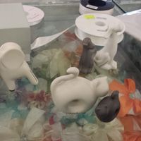 Bomboniere prese.... - 1