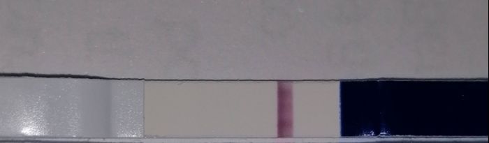 Chi non le aspetta per agosto 🍼🍼🏖️ 2