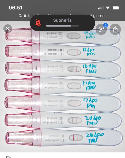Chi non le aspetta per Marzo 2020 - 1