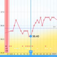 Chi non le aspetta per settembre 2020 🍀🐞🤞🌈🌻🎁🏖️🌞💝 - 1