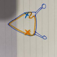 Chi non le aspetta x Gennaio 2021❤️💪🏻🤞🏻🎉🍀🍀 - 1