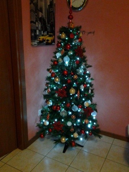 Pubblichiamo la foto dei nostri alberi!! ;) - 1