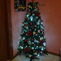 Pubblichiamo la foto dei nostri alberi!! ;) - 1