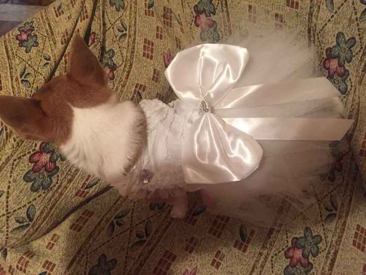 Damigella d'onore molto  particolare - 2