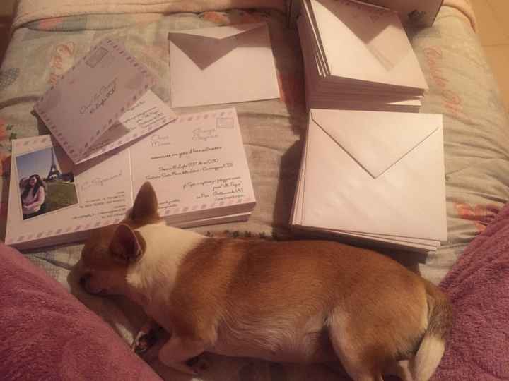 Partecipazioni: la mia aiutante si è arresa 😂 - 3