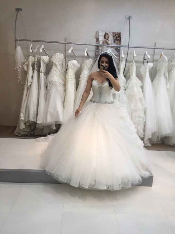 Sirena x qualke minuto - 1