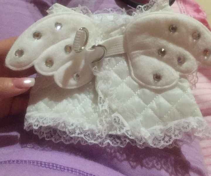 Outfit della mia cucciolina - 3