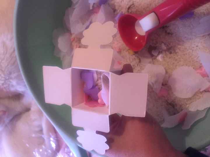 I miei porta riso 🎉 - 3