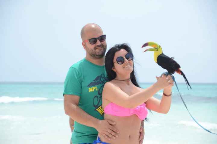 Il mio magico viaggio di nozze - 7