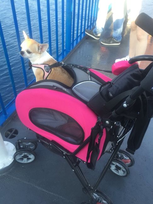 Secondo voi è adatto ? - 1