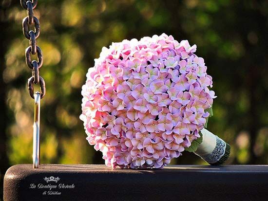 Peonie contro ortensie chi vince? - 2