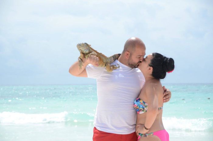 Il mio magico viaggio di nozze - 8