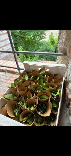 Lancio del riso… ma cosa lancerete? 😅😂 1