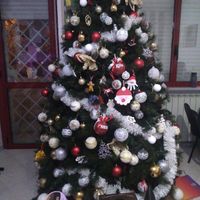 Avete mai fatto l'albero insieme? - 1