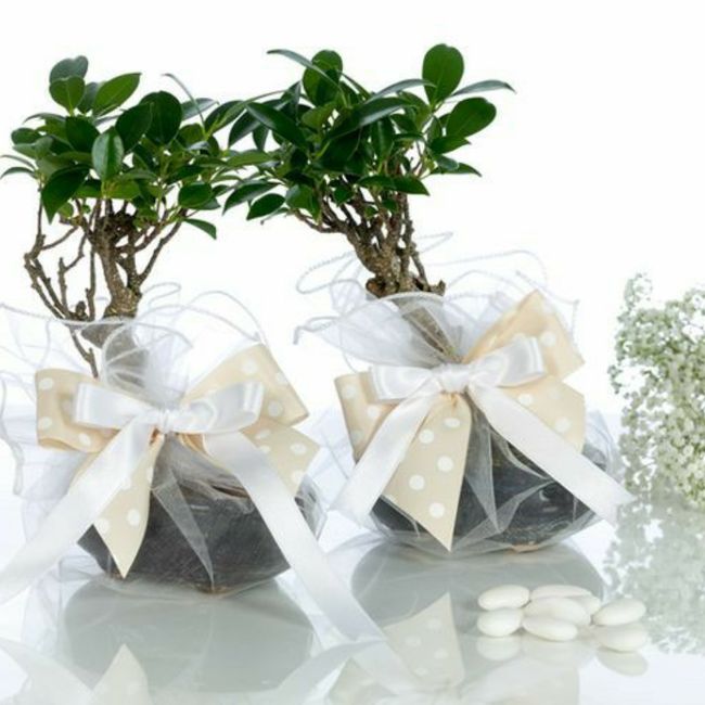 Bomboniere...a tema o no? Le avete già ordinate? 7