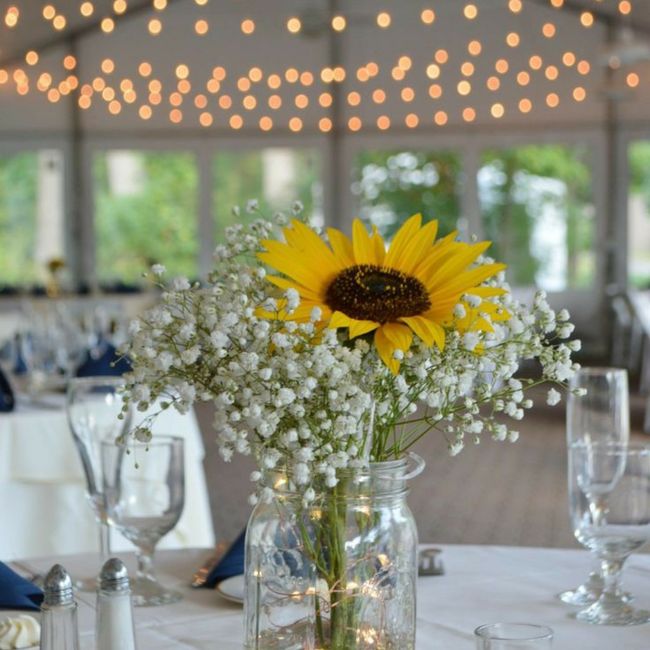 Festa con parenti in America 5