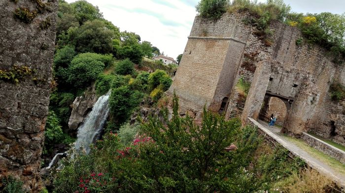 Dubbio: Scelta della Chiesa ⛪️ 8