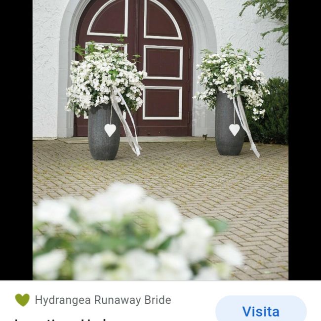 Centrotavola con kalanchoe 3