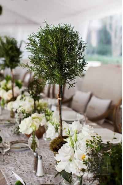 Centrotavola con piante - 2