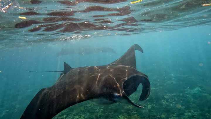 Destinazione mese di Maggio - 2