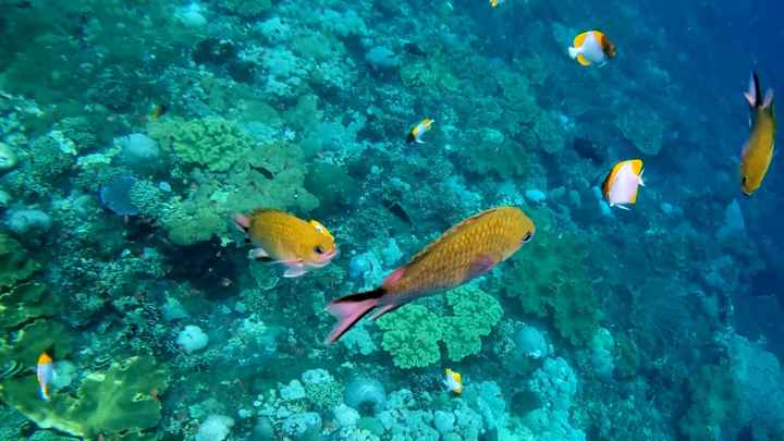 Destinazione mese di Maggio - 5