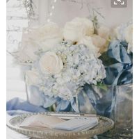 Tema tableau da abbinare al colore scelto... - 2