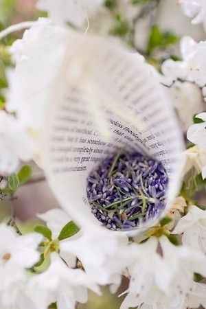 Lavanda sgranata - coni