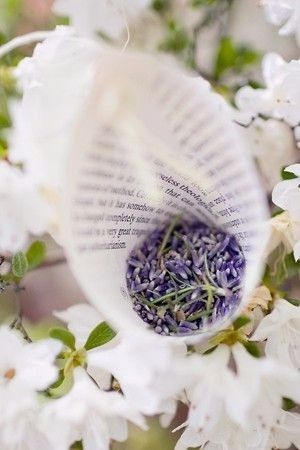 Lavanda sgranata - coni