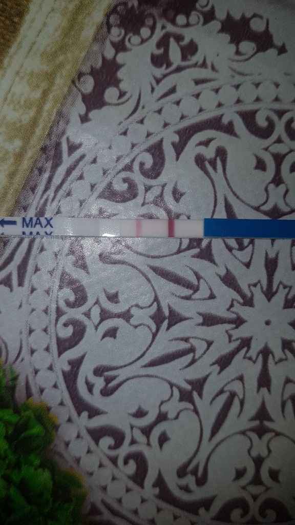 🌺Chi non le aspetta per agosto 🎁🏖️🌞💛💚❤️💝🌻🌷 - 1