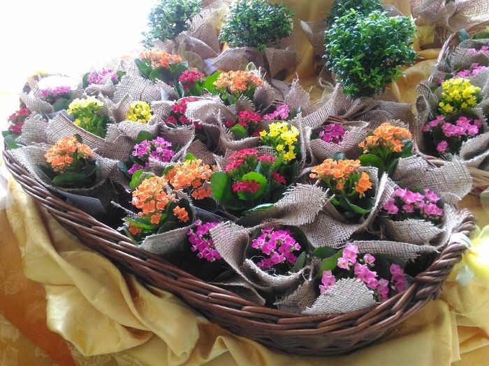 Un po' di tools del nostro matrimonio🌻🌻🌻🌻🌻😍😍😍😍😍 - 23