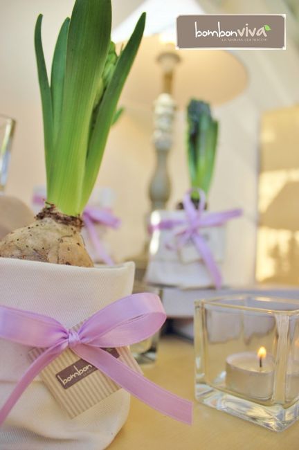 Bomboniera con bulbo di tulipano... help! 2