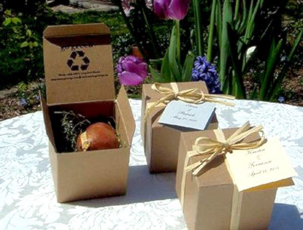 Bomboniera con bulbo di tulipano... help! 3