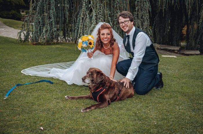 Foto di nozze con i nostri amici animali - 3