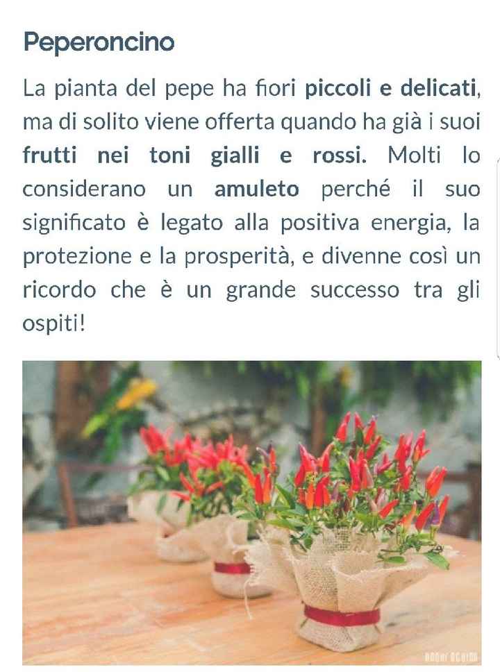 Che avete scelto come bomboniera? - 2