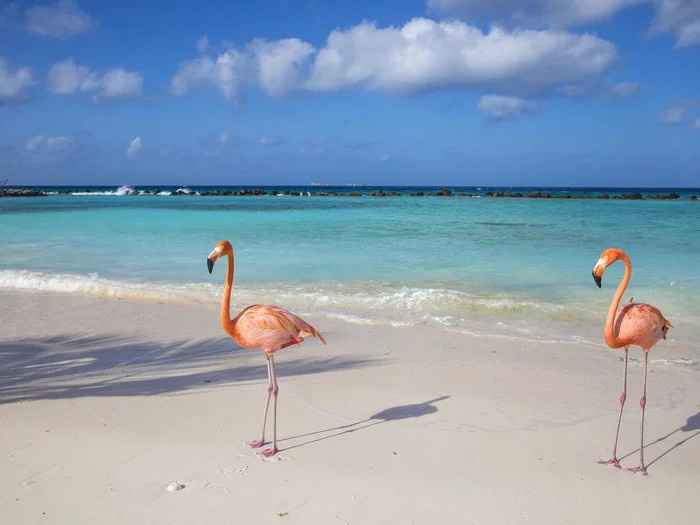 info su aruba e Curaçao - consigli e recensioni - 1