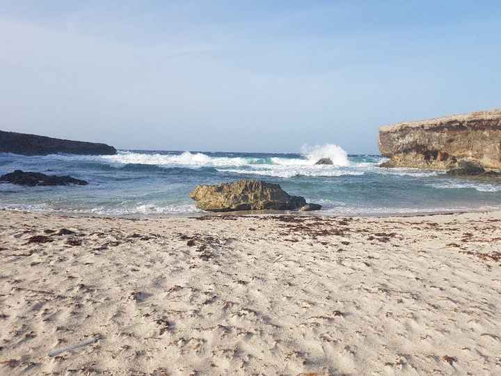 luna di miele parte 1 - caraibi - isola di aruba - 5