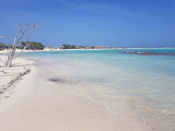 luna di miele parte 1 - caraibi - isola di aruba - 11