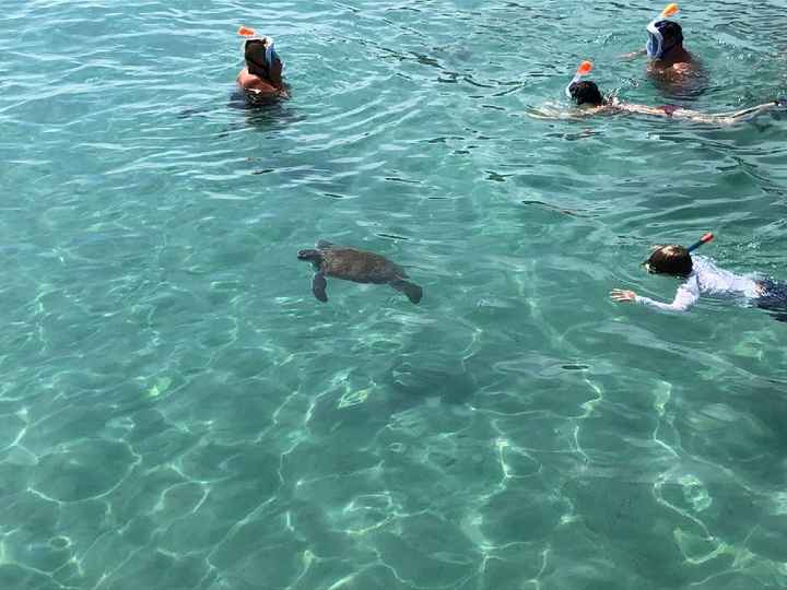 Luna di miele parte 2 - Isola di Curaçao - Caraibi - 5