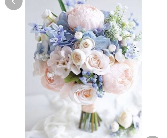 Scelta tema e colore 1