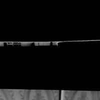 Chi non le aspetta per Maggio 2020 - 1