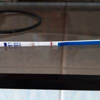 Test gravidanza canadesi.. Entrate❣️ - 1