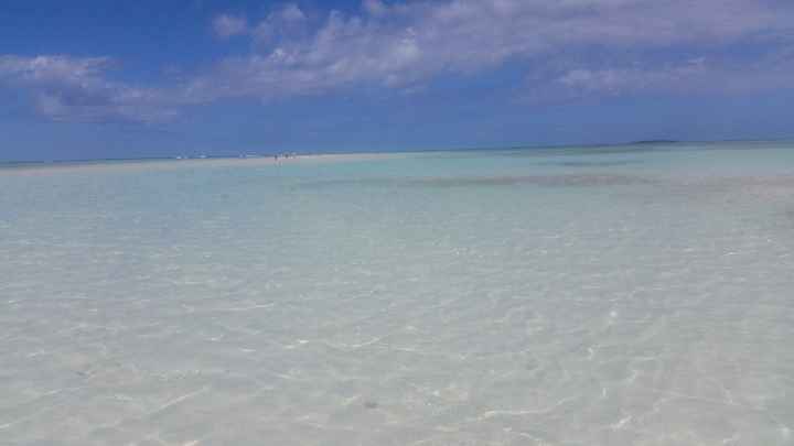 Ino sul madagascar - 1