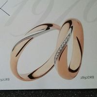 Scelta delle fedi - 1