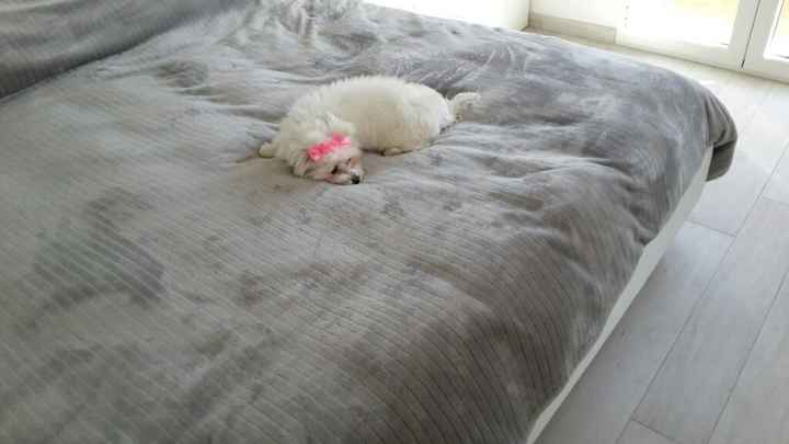 Vi presento nina! - 1