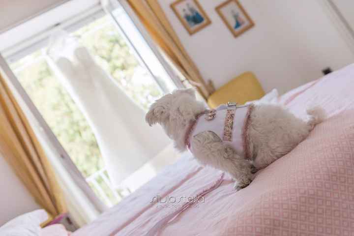  Abito...dove lo metterete?! - 1