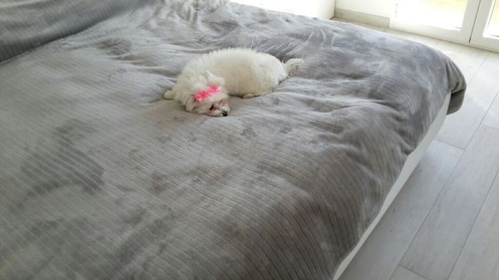 Vi presento nina! - 1