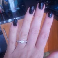 il mio splendido Salvini 