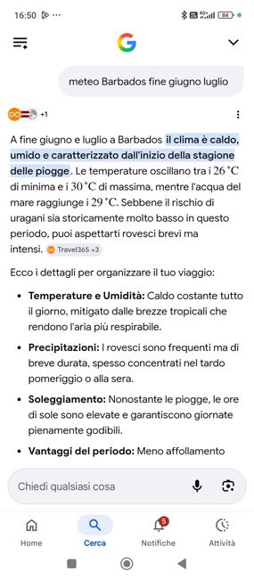 viaggio di nozze 1
