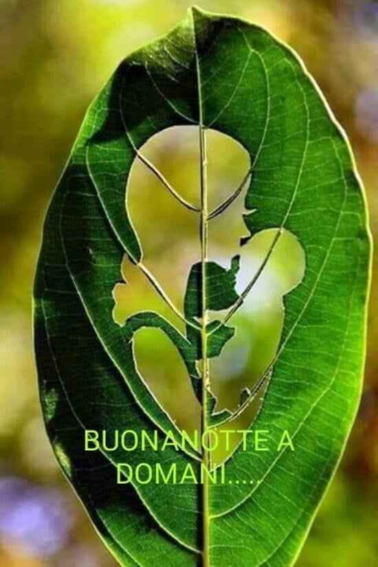 da luglio 2020 in poi - chi non intende rimandare - 1