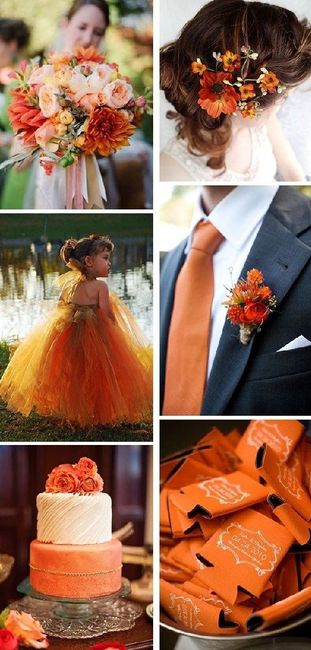  Matrimonio in arancione!🦄 - 5